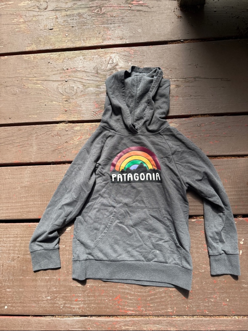 Patagonia Charcoal Hoodie with Rainbow Graphic
